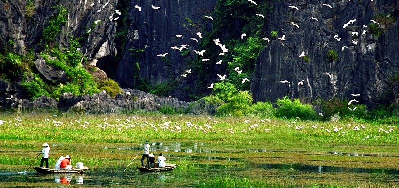 Réserve naturelle de Van Long à Ninh Binh