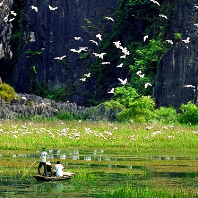 Réserve naturelle de Van Long à Ninh Binh